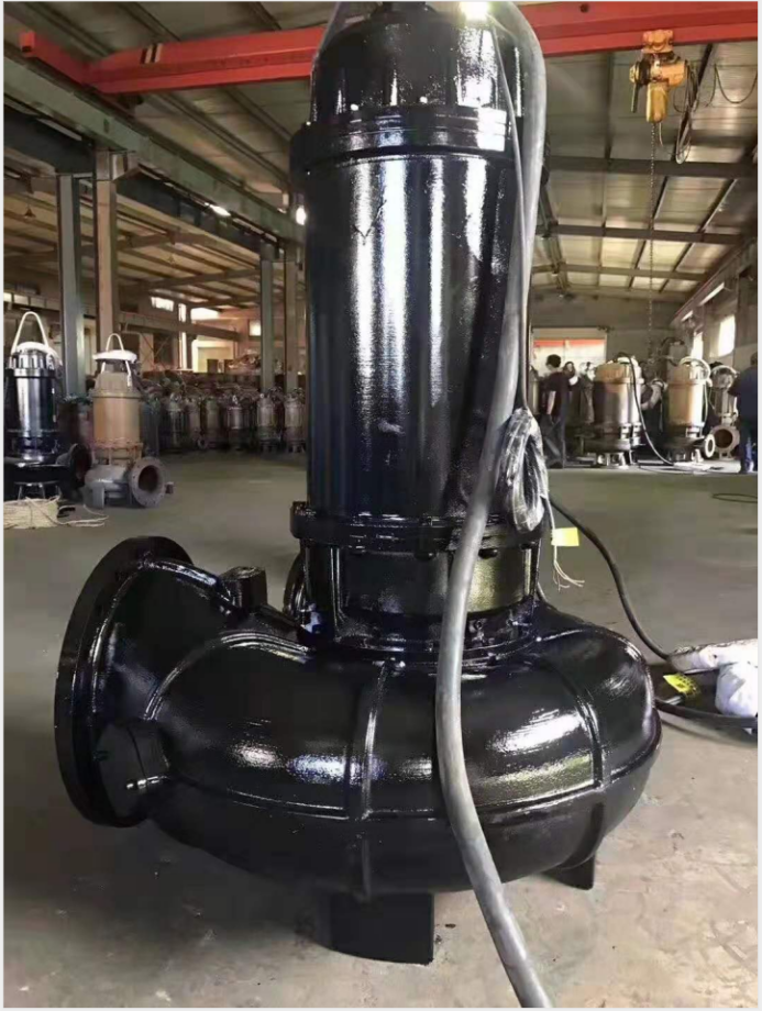 防汛工作要做好，威滬水泵不能少